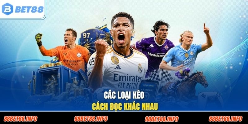 Các loại kèo cách đọc khác nhau