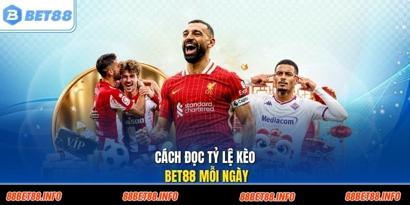 Cách đọc tỷ lệ kèo Bet88 mỗi ngày
