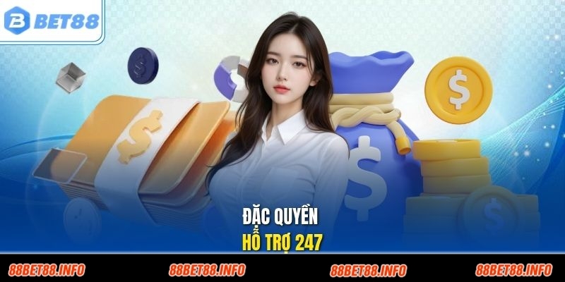 Đặc quyền hỗ trợ 247